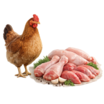 100% Desi Chicken Fresh Natural Desi Murghi